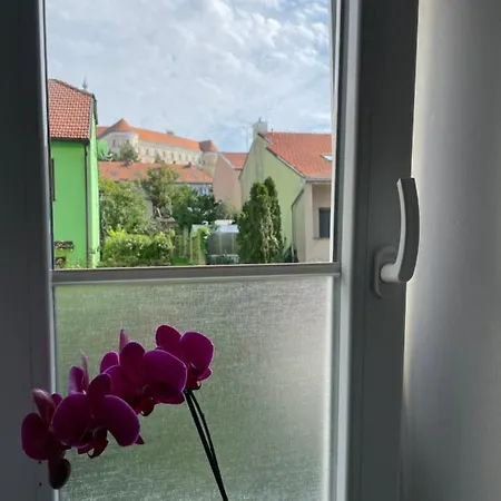 U Vitka Mikulov