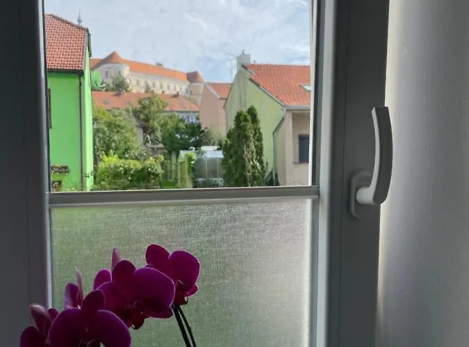 U Vitka Mikulov