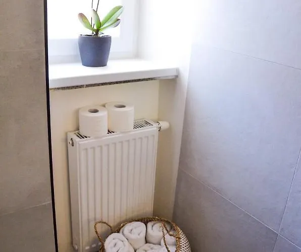 U Vitka Appartement