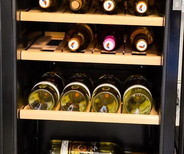 U Vitka 公寓 米库洛夫